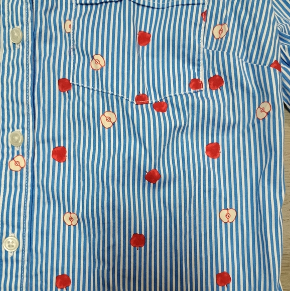 J. Crew womens Re-imagined blue stripe teacher school apple button down size s - Picture 2 of 7